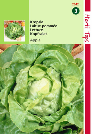 Appia-Kopfsalat - Inhalt: 3 Gramm