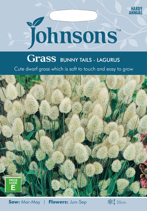 Hazenstaart Lagurus ovatus 'Bunny tails' - 150 zaden