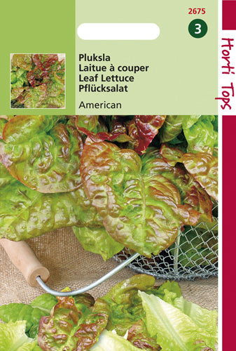 Cueillette de laitue American Red Edge - contenu: 10 grammes