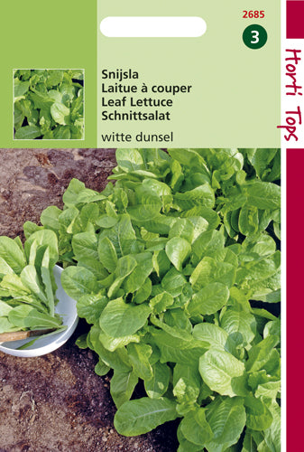 Laitue romaine White Dunsel - contenu : 10 grammes