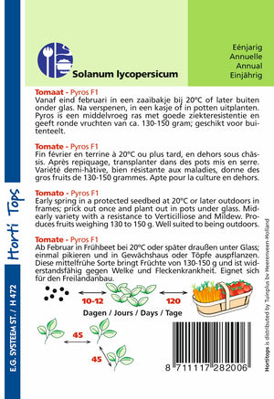 Tomate Pyros F1 25 Samen Hortitops