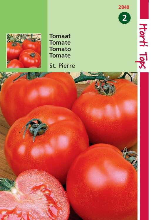 Tomate Saint Pierre 1,5 Gramm Hortitops