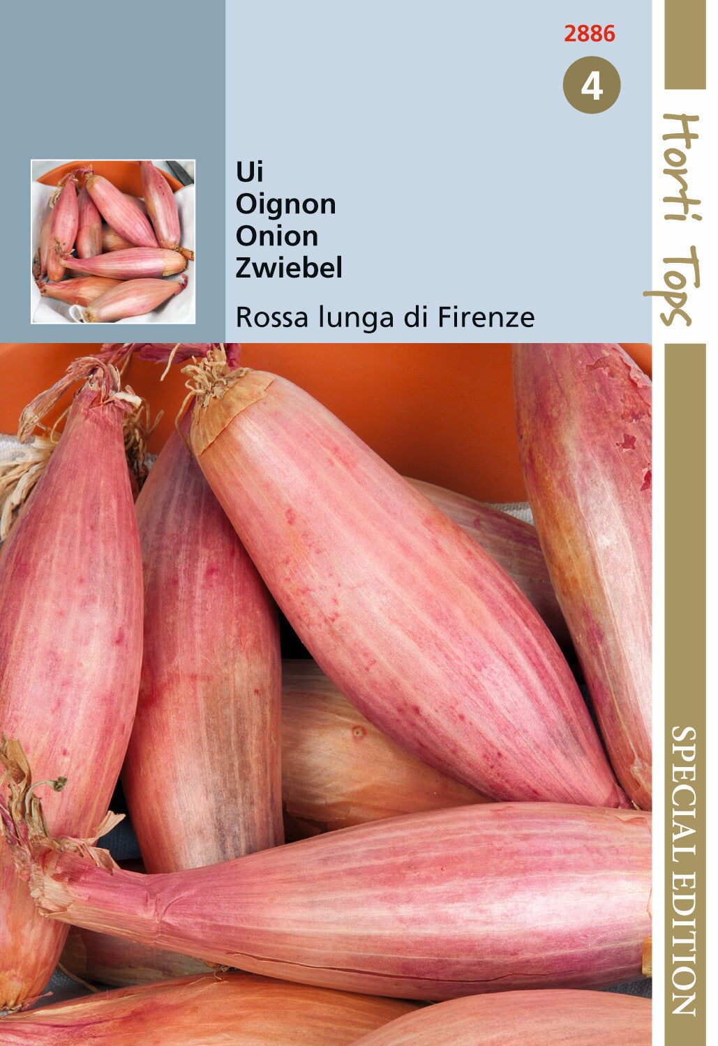 Uien Rossa lunga di Firenze - Simiane 2 gram