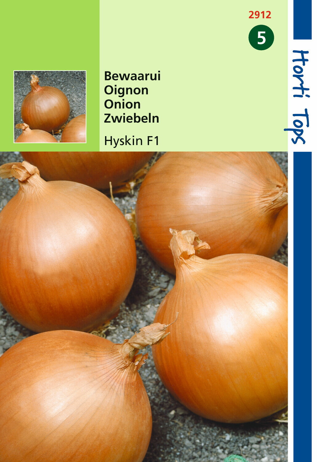 Uien Hyskin F1 600 zaden