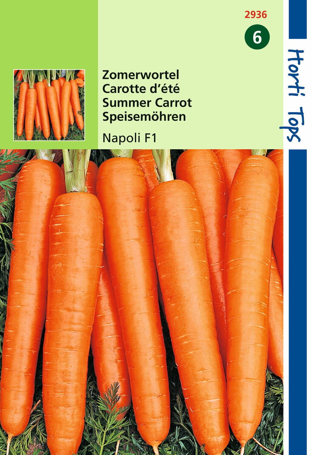 Carottes Napoli F1 800 graines (au lieu de 1000)