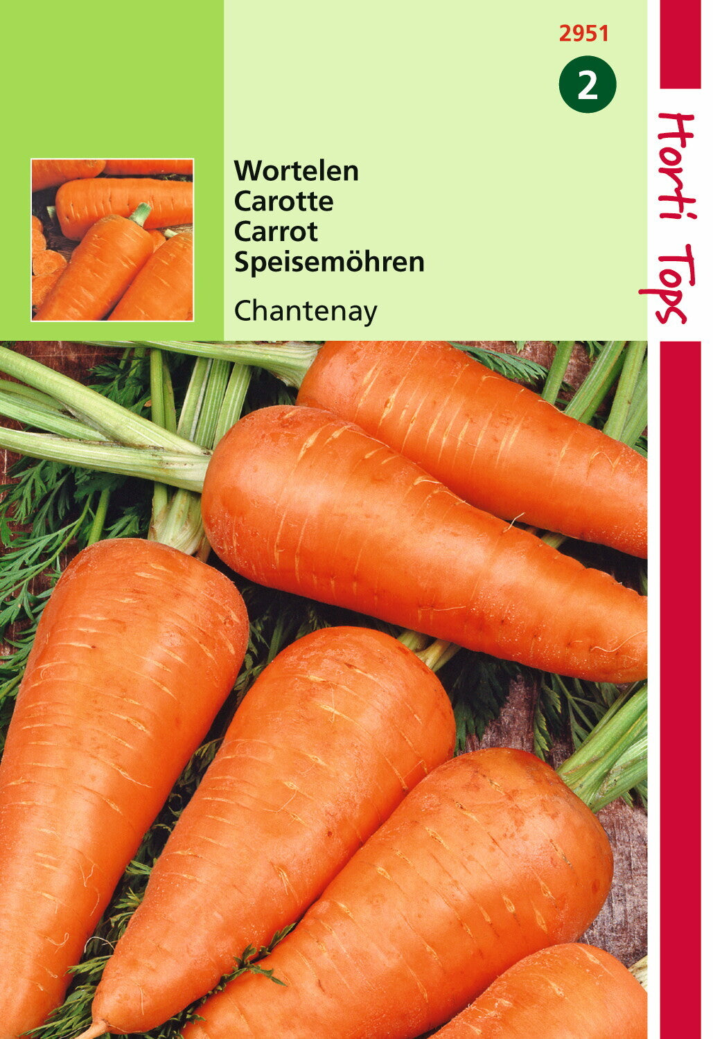 Carottes Chantenay 6 grammes