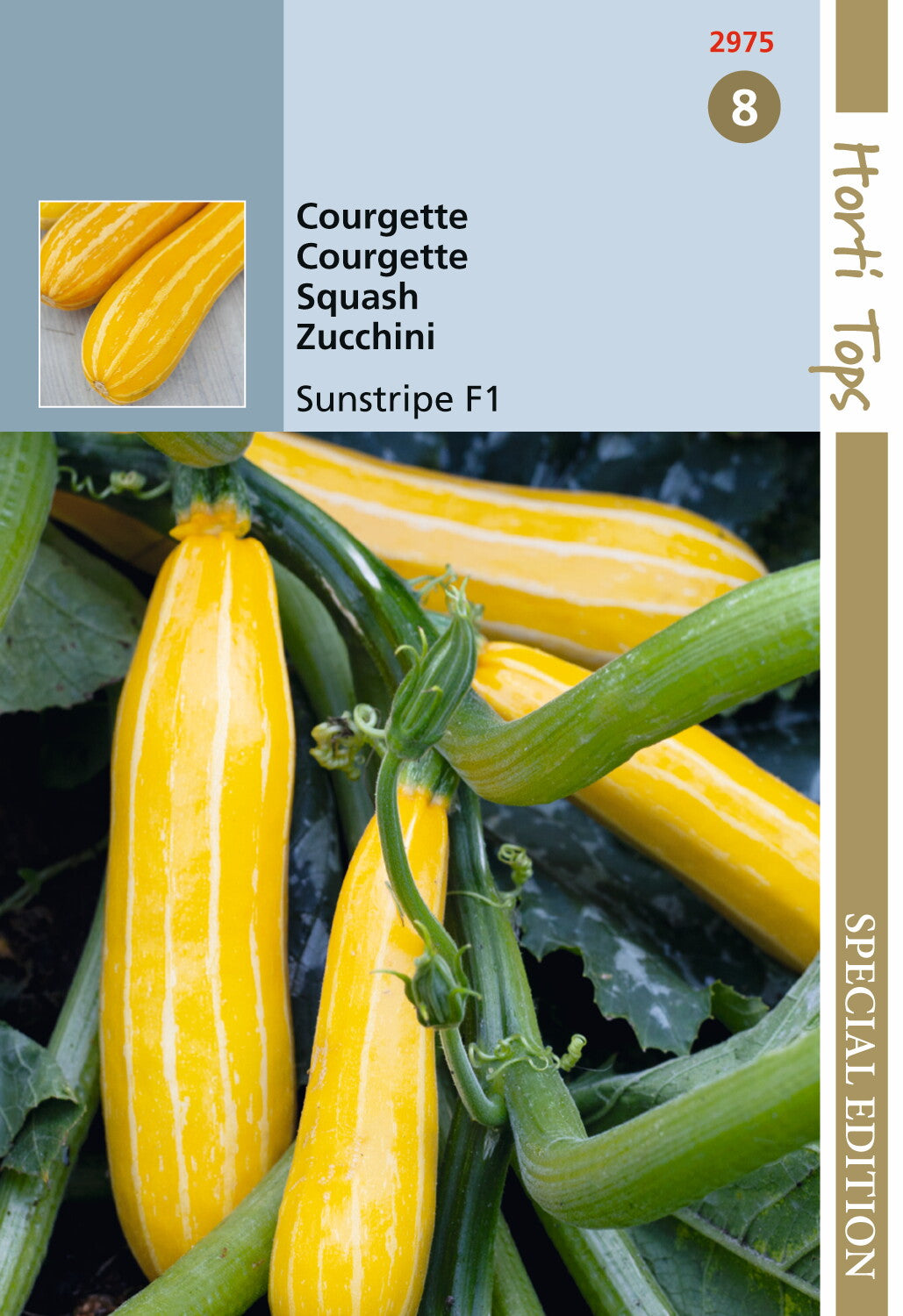 Courgette Sunstripe geel F1 8 zaden - HV