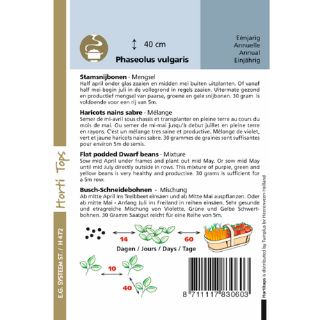 Haricots tiges ou buissonnants - mélange violet. jaune et vert 30 grammes d'Hortitops