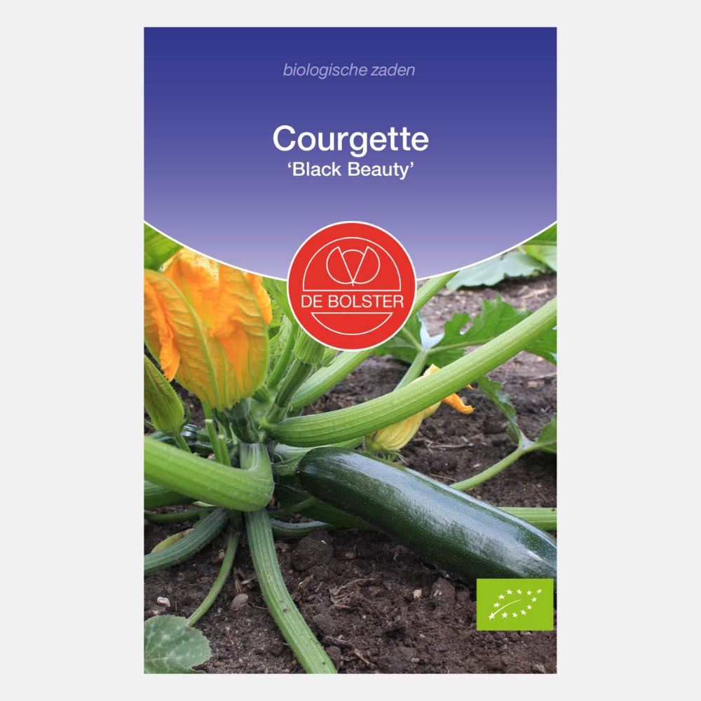 Courgette 'Black Beauty' BIO