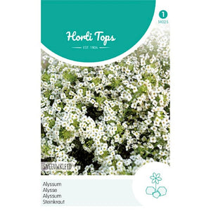 Sneeuwkleed Alyssum 0.5 gram