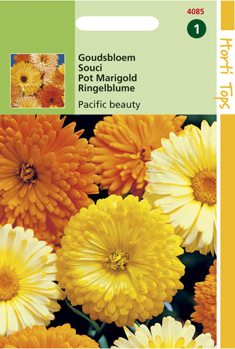 Goudsbloem Pacific Beauty te koop op Moestuinweetjes.com