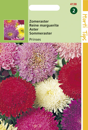 Aster zomer Princesse Gemengd te koop Moestuinweetjes.com