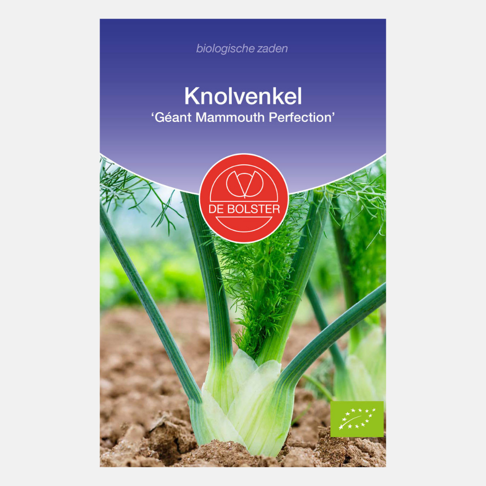 Knolvenkel 'Géant Mammouth Perfection' BIO