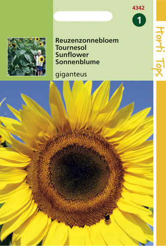 Tournesol Giganteus - contenu : 4 grammes