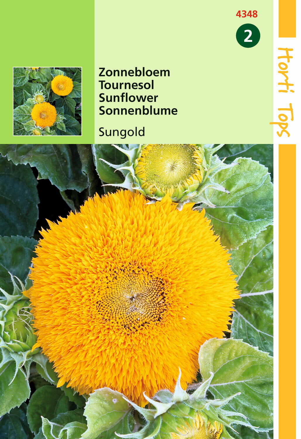 Sonnenblume Sungold gefüllt, niedrig - Inhalt: 2 Gramm Hortitops