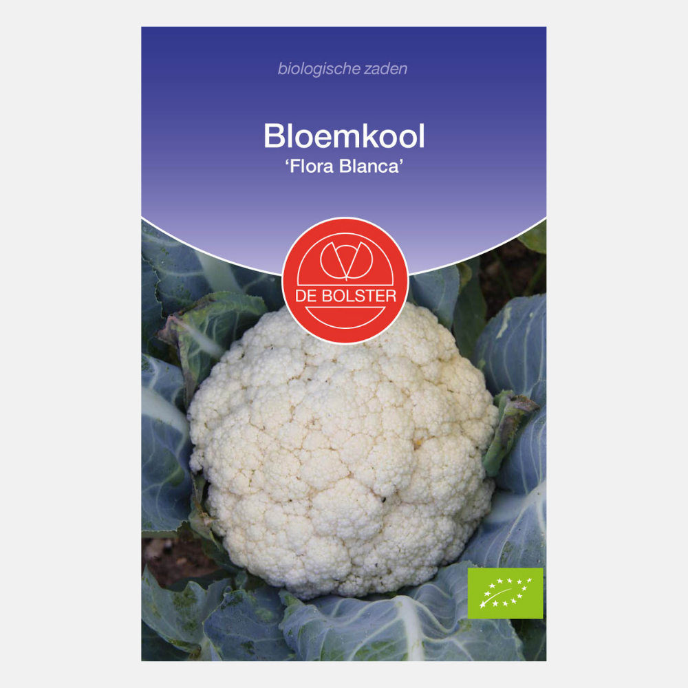 Bloemkool 'Flora Blanca' BIO