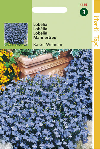 Lobelia Kaiser Wilhelm te koop op Moestuinweetjes.com