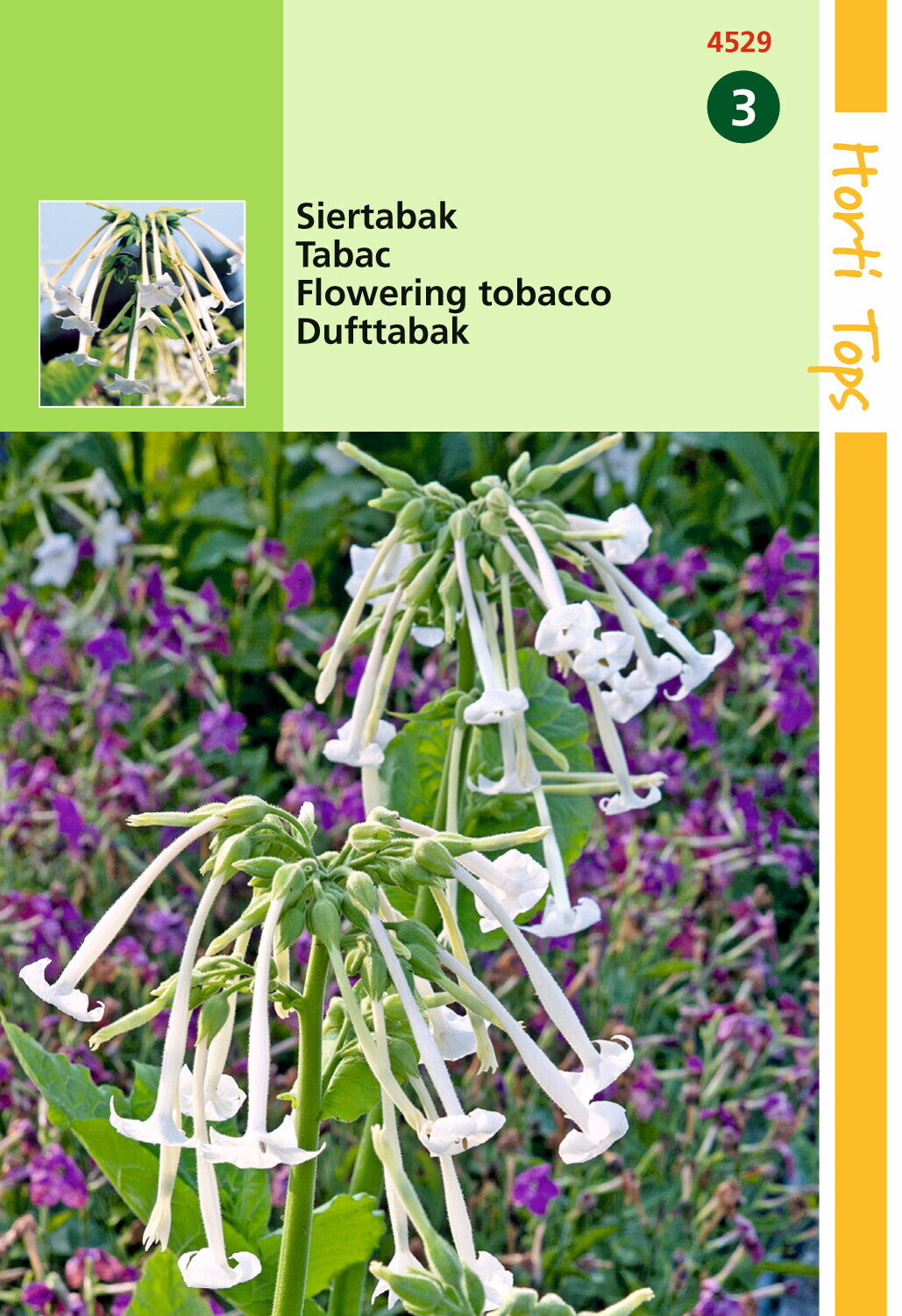 Nicotiana. Dekorativer Tabak weiß, süß duftend – 0,15 Gramm Hortitops