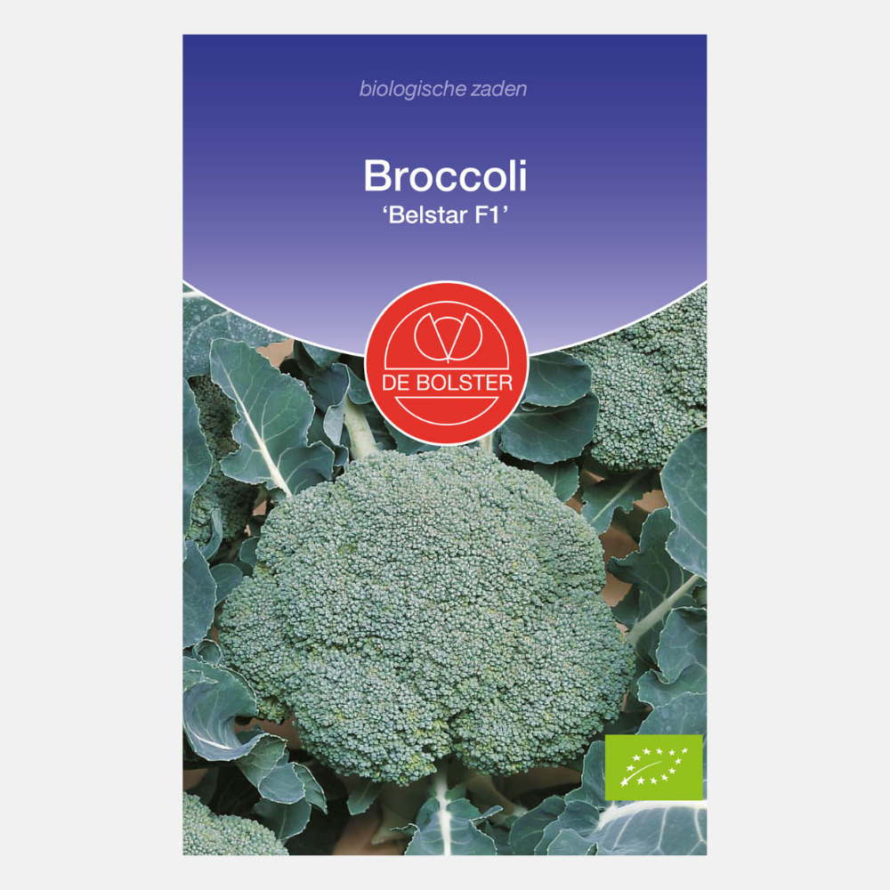 Broccoli 'Belstar F1' BIO