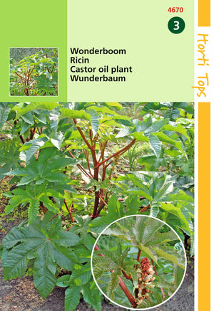 Ricinus. Wonderboom gemengd 2 gram Hortitops