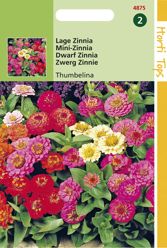 Zinnia Thumbelina Gemengd te koop op Moestuinweetjes.com