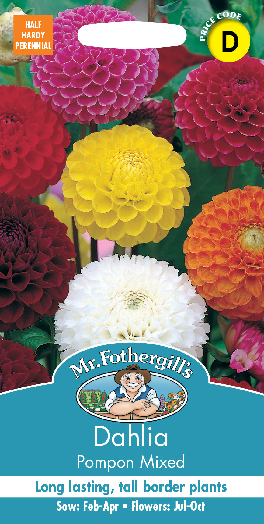 Dahlia dahlia x hortensis Pompon Mixte - 50 Graines