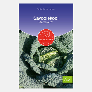 Savooiekool 'Cantasa F1' BIO