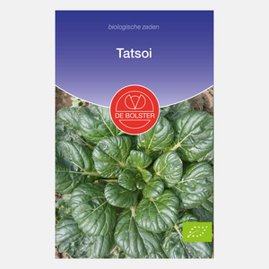 Tatsoi BIO