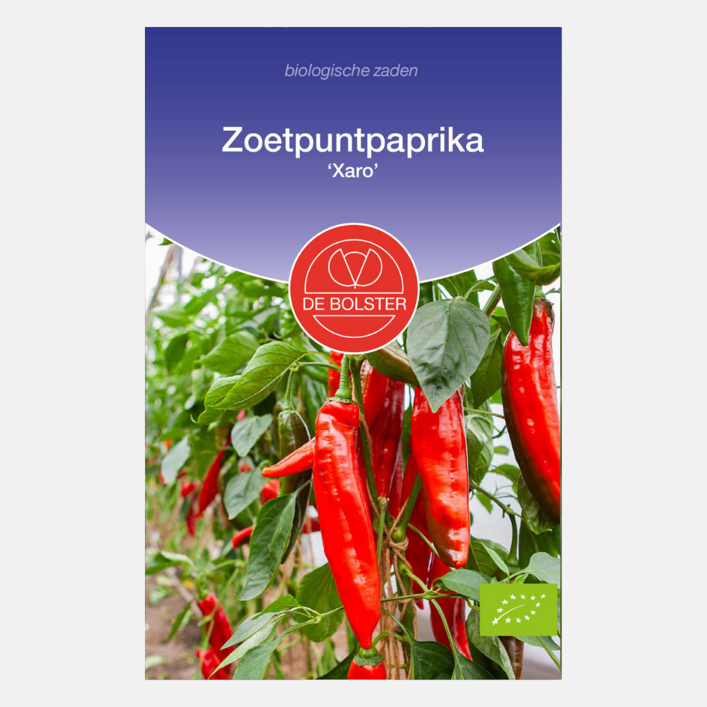 Zoetpuntpaprika 'Xaro' BIO