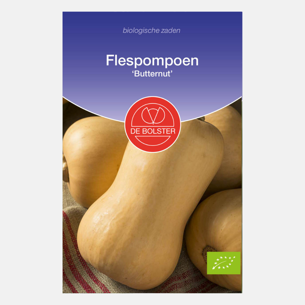 Flespompoen 'Butternut' BIO