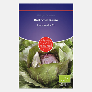 Radicchio Rosso 'Leonardo F1' BIO