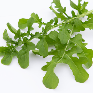 Rucola 'Esmée' BIO