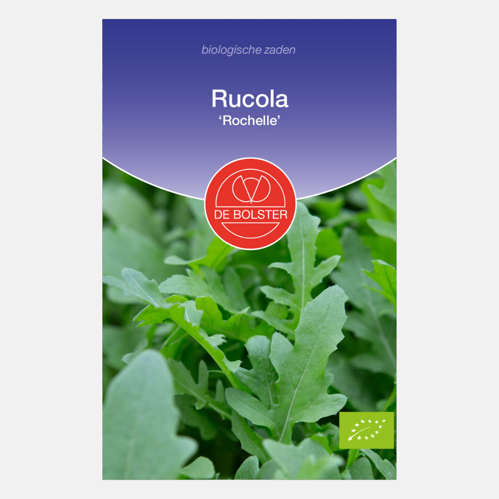 Rucola ‘Rochelle’ BIO