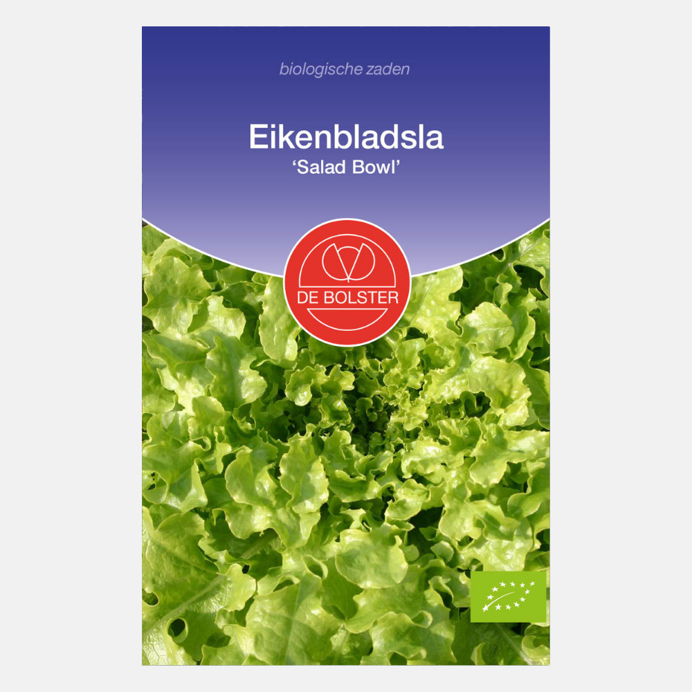 Eikenbladsla ‘Salad Bowl' BIO