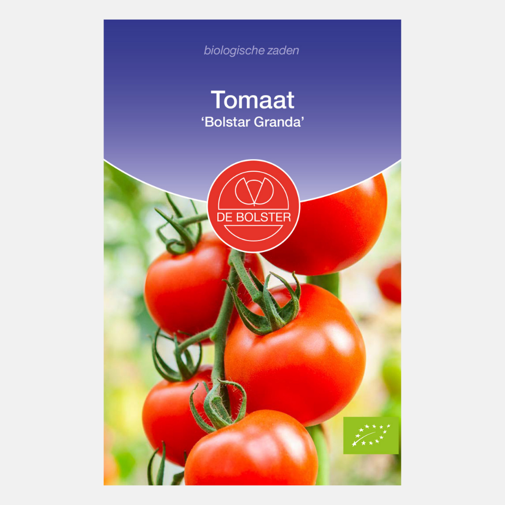 Tomate 'Bolstar Granda' BIO