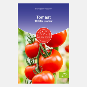 Tomate 'Bolstar Granda' BIO