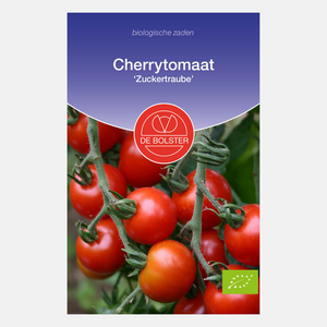 Tomate cerise 'Zuckertraube' BIO