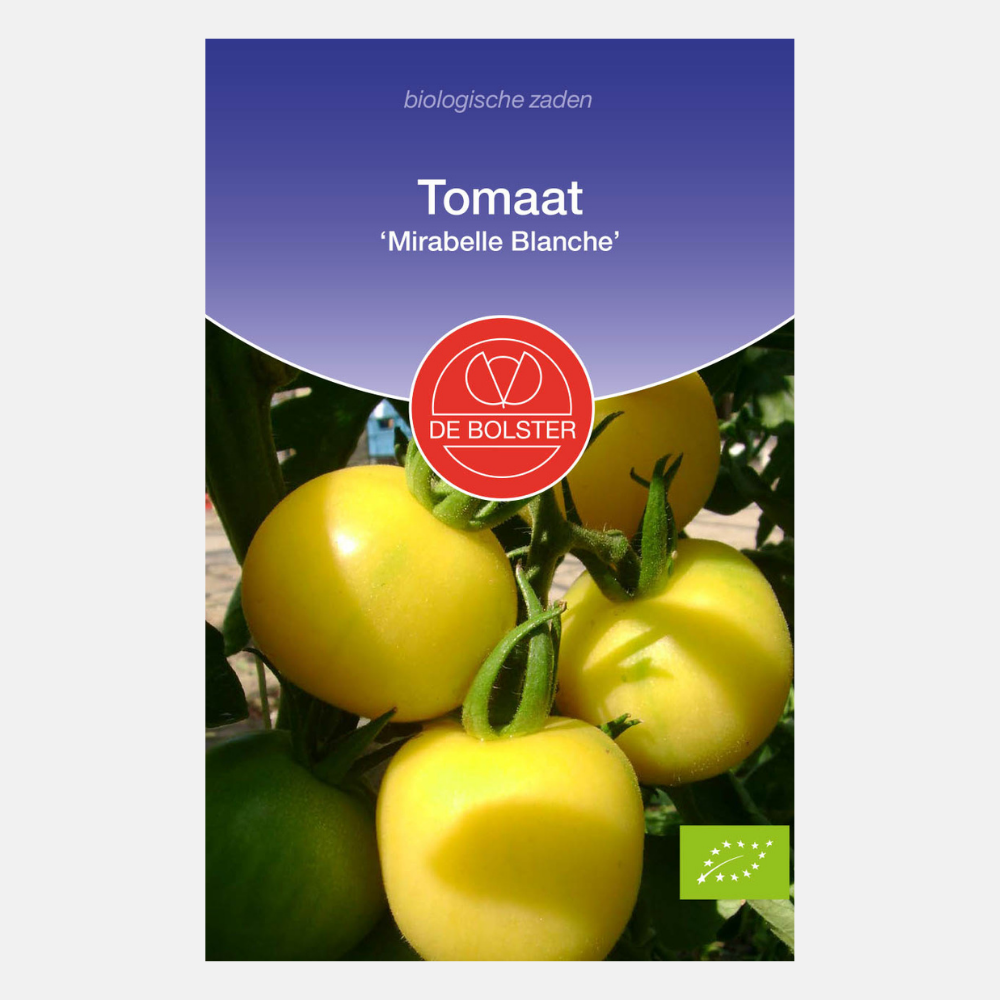 Tomate 'Mirabelle Blanche' BIO