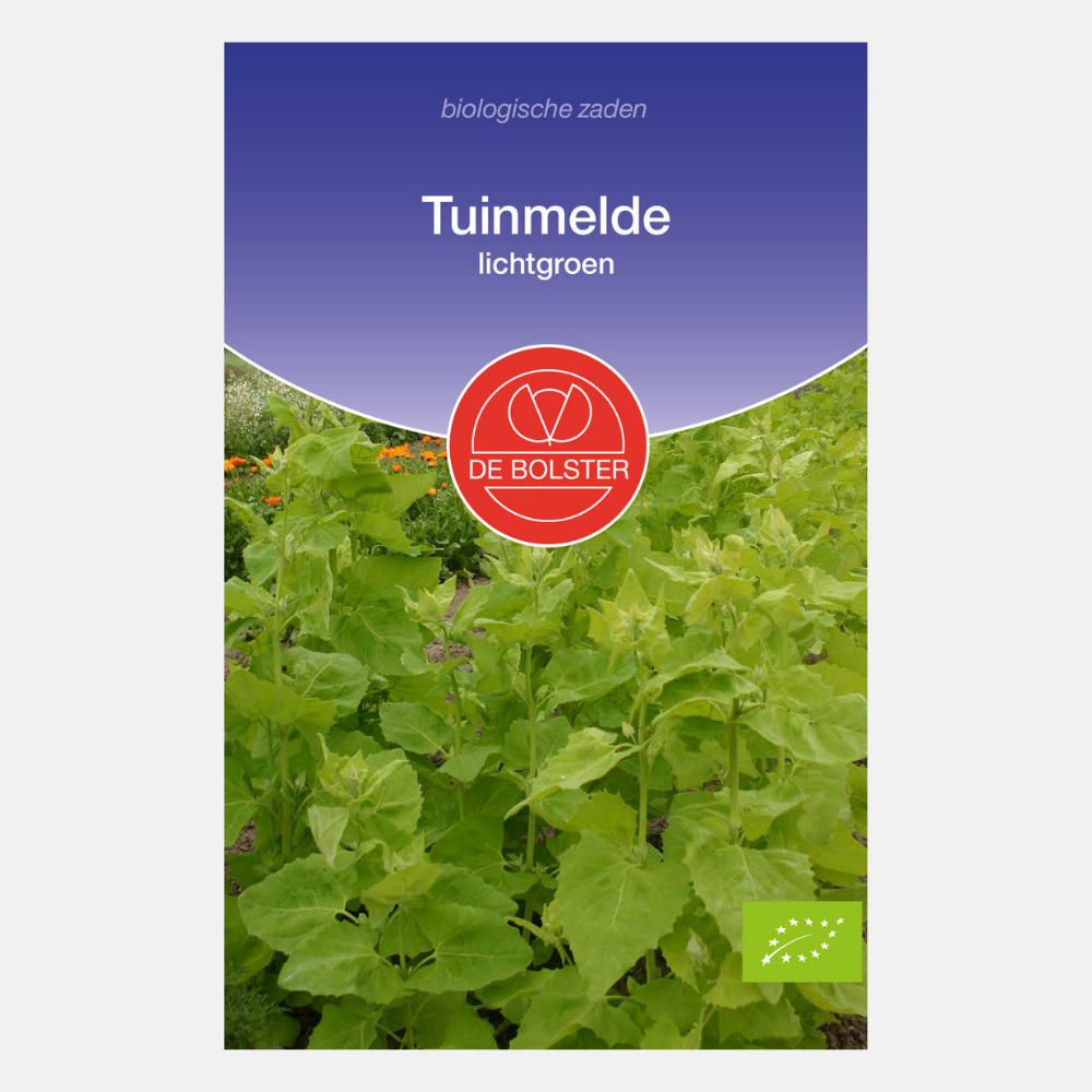 Tuinmelde - lichtgroen BIO