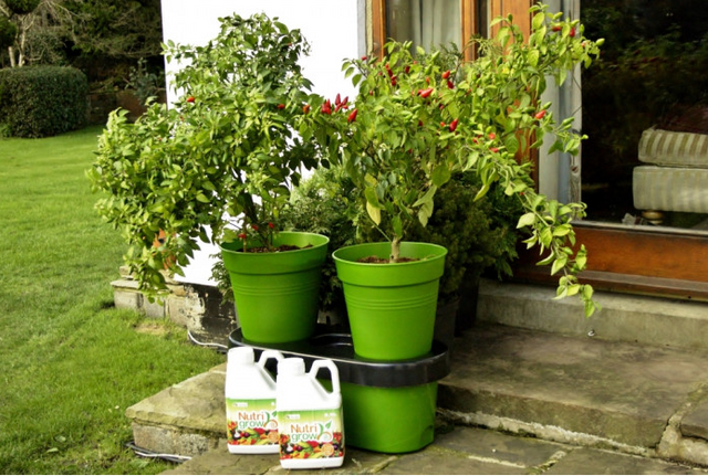 Duogrow Holiday-Proof Planter De slimme terraspotten met zelf-wateringsysteem