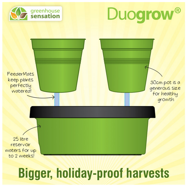 Duogrow Holiday-Proof Planter De slimme terraspotten met zelf-wateringsysteem