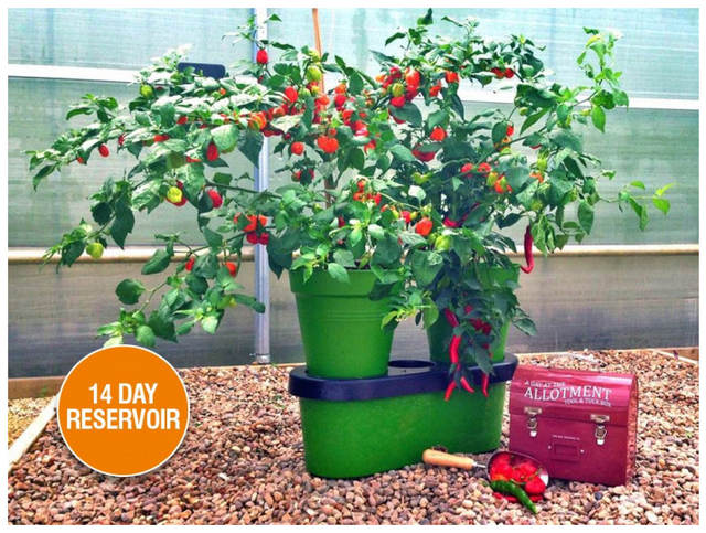 Duogrow Holiday-Proof Planter De slimme terraspotten met zelf-wateringsysteem