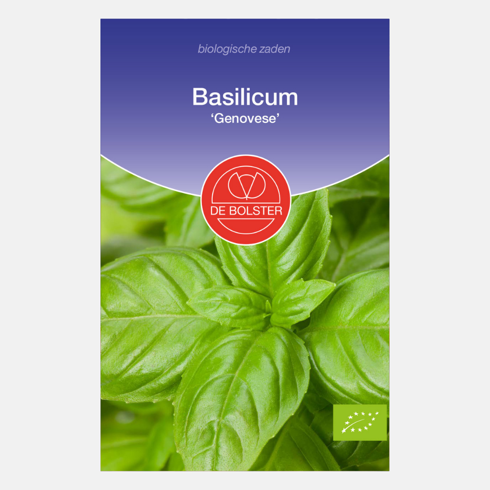 Basilicum 'Genovese' BIO