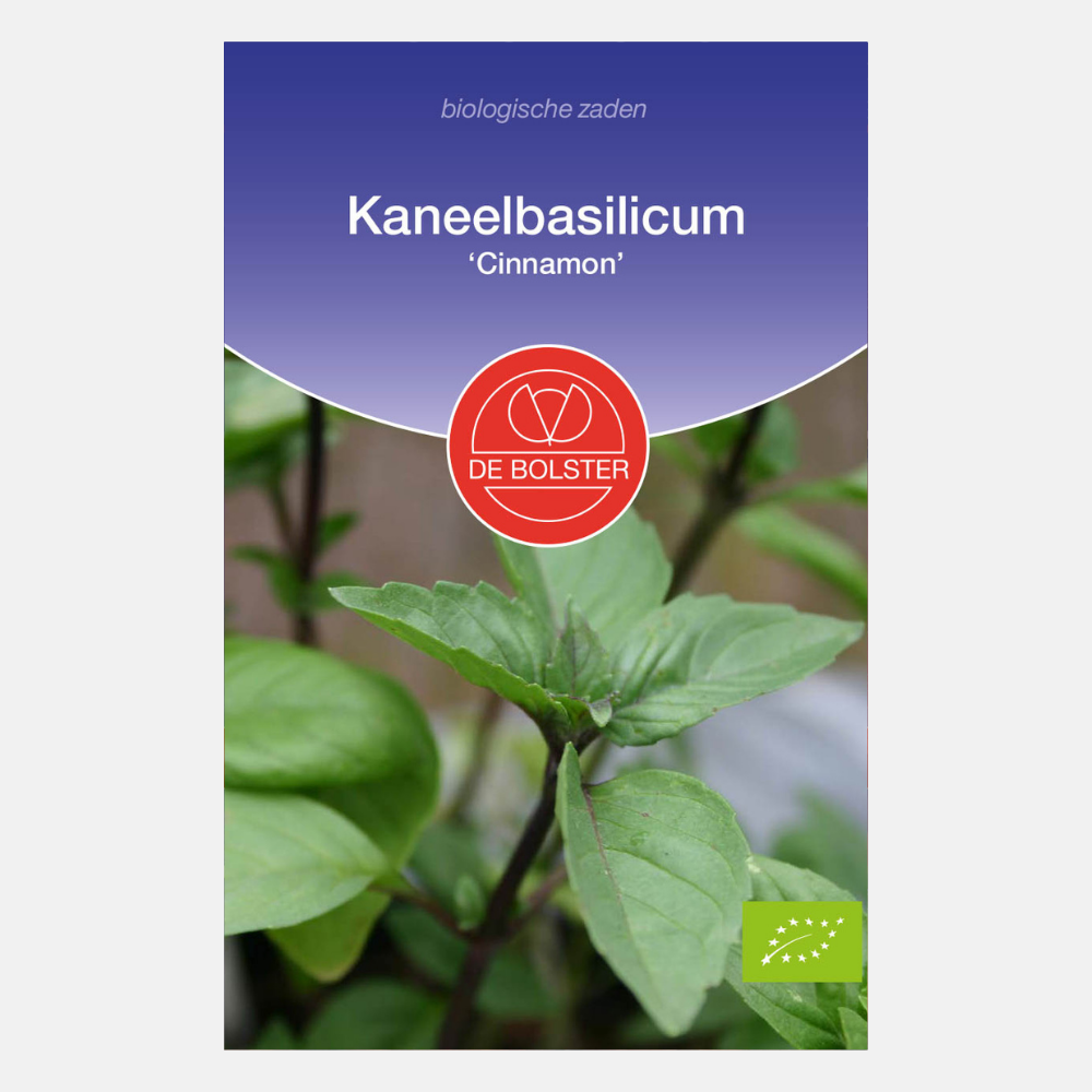 Kaneelbasilicum 'Cinnamon' BIO