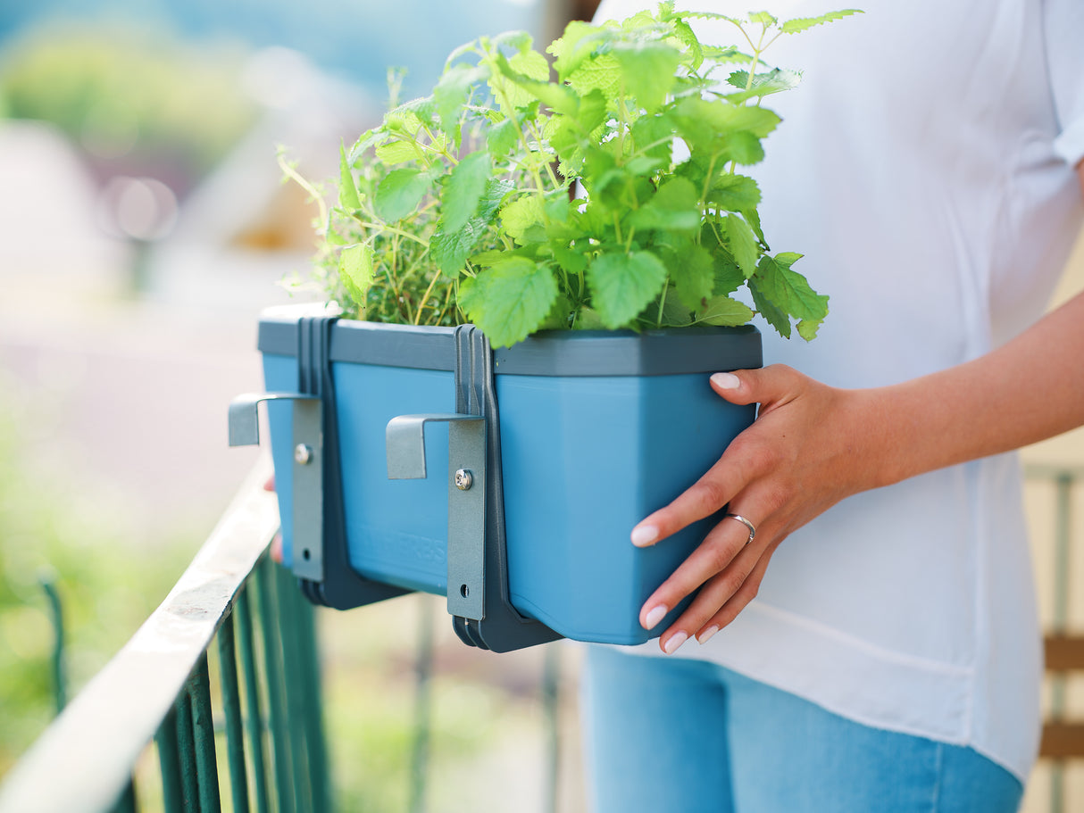 HARRY HERBS - Hanger voor het balkon (2-delig)