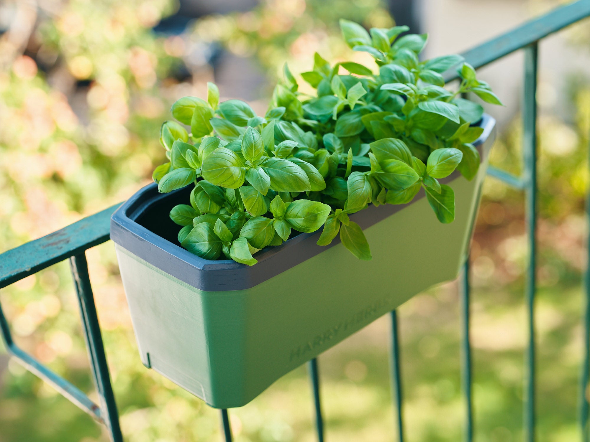 Harry Herbs - Hanger for the balcony (2-piece)