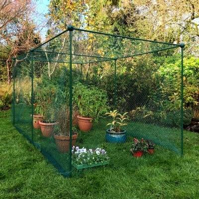 Cage de 1,25 m de haut sur 1 m de large avec BIRD NET idéale pour les petits fruits (Choisissez la longueur)