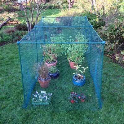 Cage de 1,25 m de haut sur 1 m de large avec BIRD NET idéale pour les petits fruits (Choisissez la longueur)