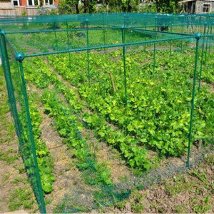 Cage 1,25 m de haut 1,25 m de large avec FILET PAPILLONS idéal pour les charbons hauts (Choisir la longueur)