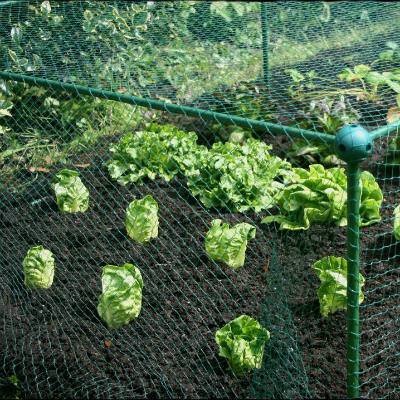 Cage 1,25 m de haut 1,25 m de large avec FILET PAPILLONS idéal pour les charbons hauts (Choisir la longueur)